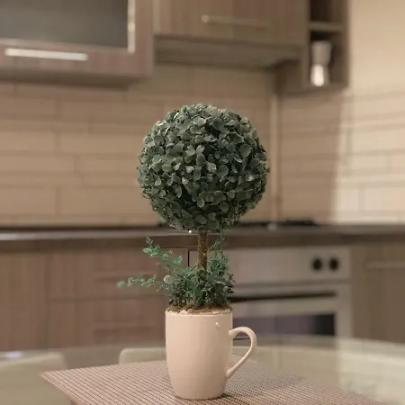 Apartamento St. Peter